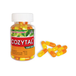 Cozytal